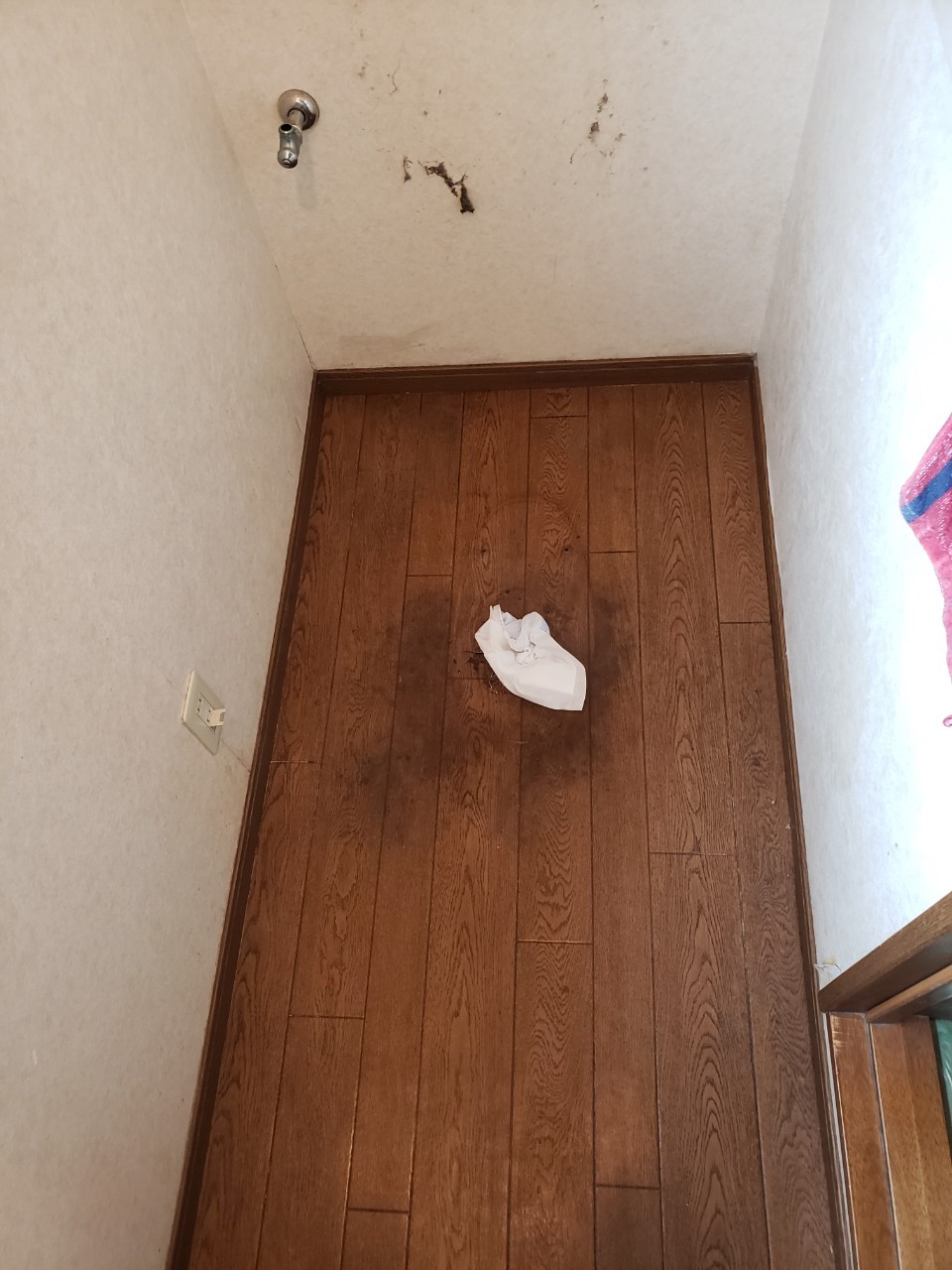 清潔感のあるトイレ